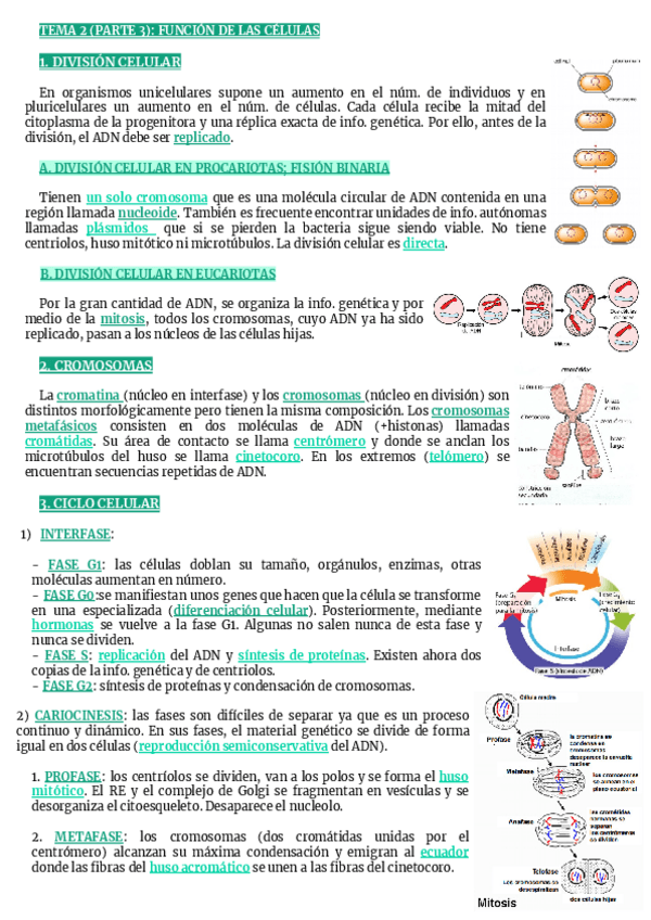 Miniatura del documento TEMA-2-FUNCION-DE-LAS-CELULAS.pdf