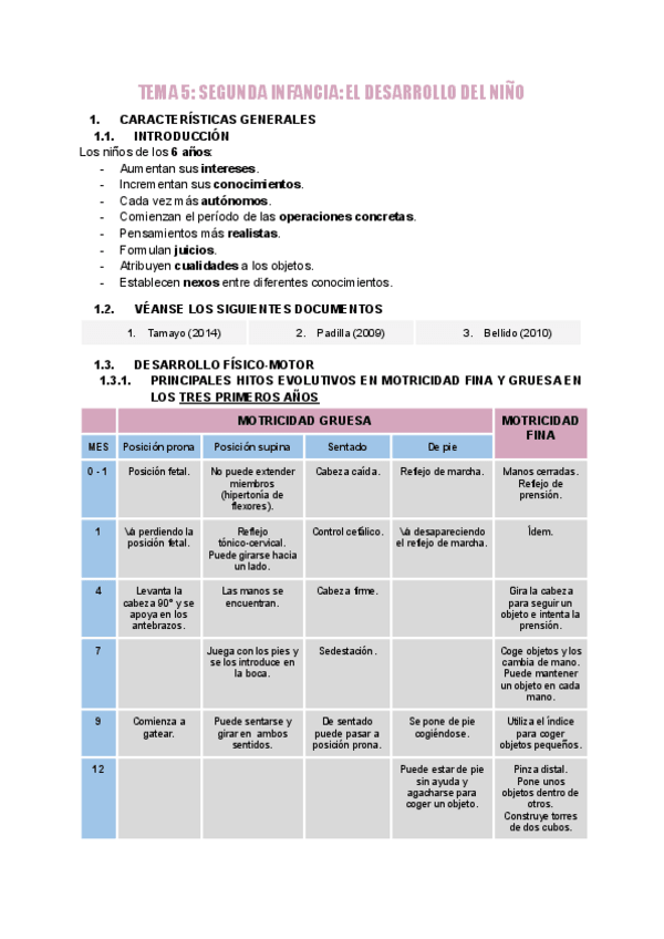 Miniatura del documento TEMA-5-SEGUNDA-INFANCIA-EL-DESARROLLO-DEL-NINO.pdf