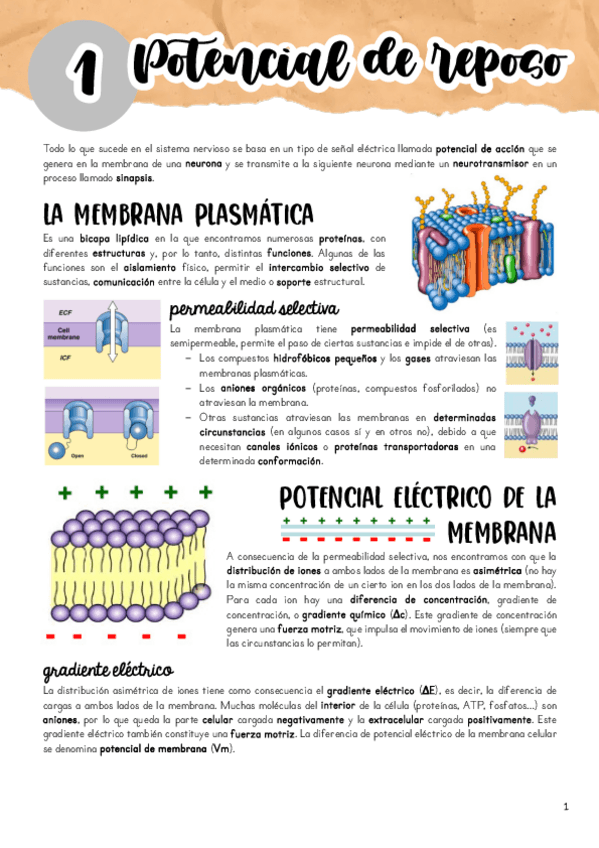 Miniatura del documento Tema-1.pdf
