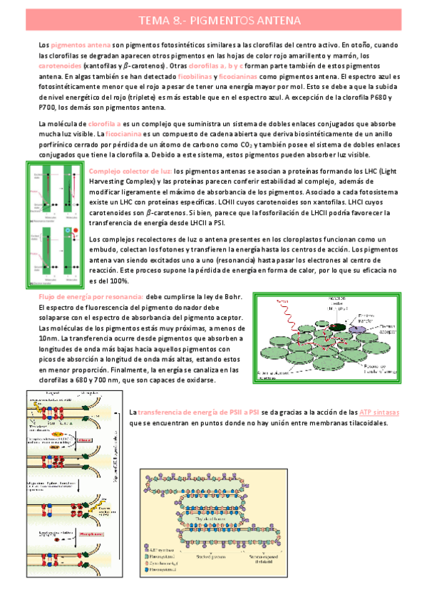 Miniatura del documento pigmentos-antenatema-8.pdf