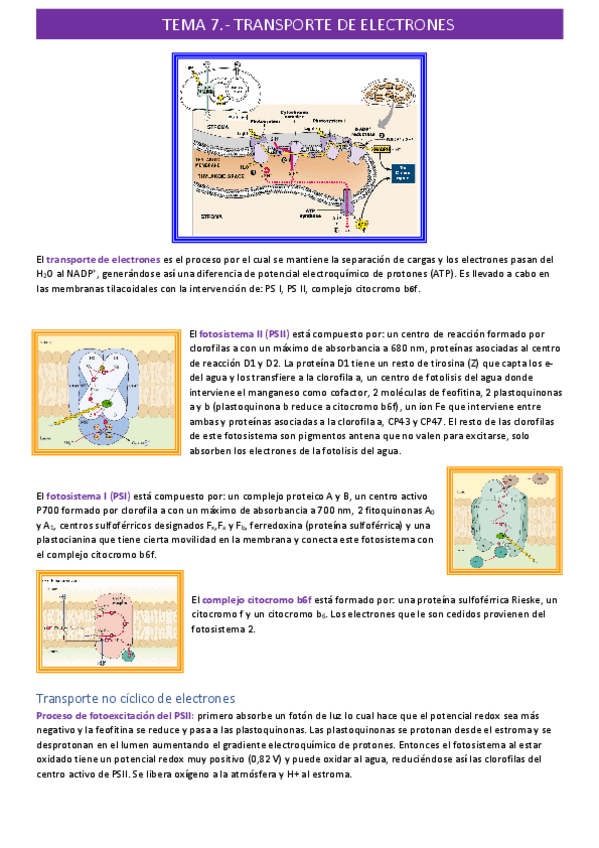 Miniatura del documento transporte-de-electronestema-7.pdf