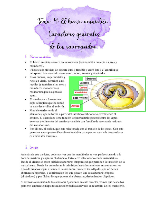 Miniatura del documento TEMA-14.pdf