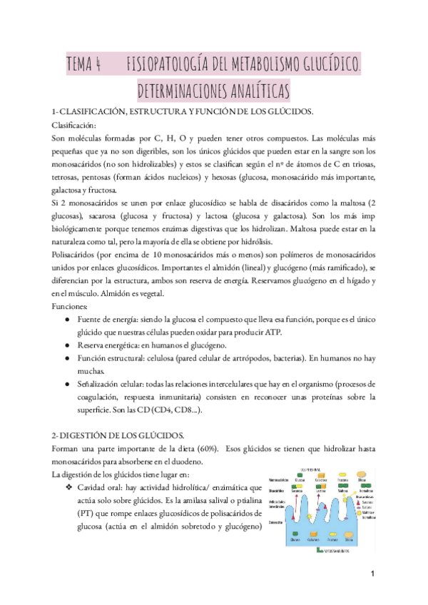 Miniatura del documento BQ-T.pdf