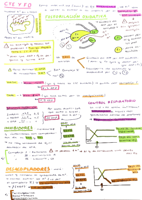 Miniatura del documento BIOQUIMICA-CTE-Y-FO.pdf