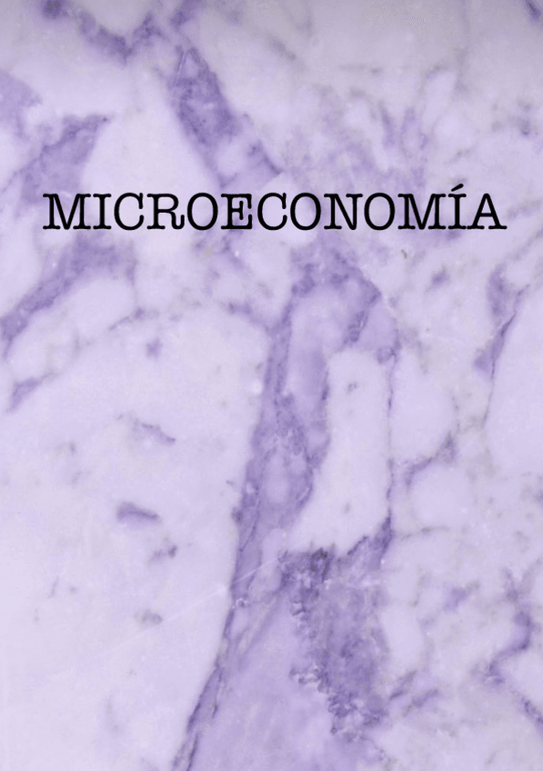 Miniatura del documento APUNTES-MICROECONOMIA.pdf