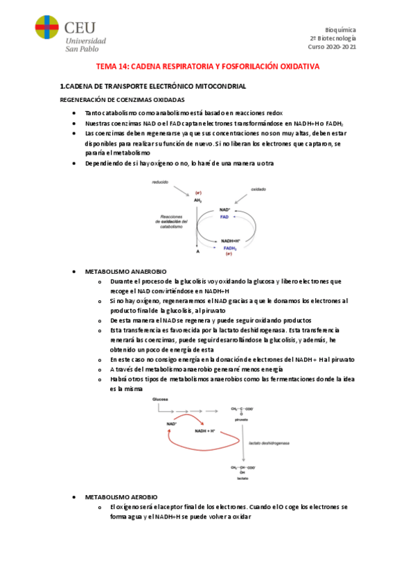 Miniatura del documento TEMA-14.pdf