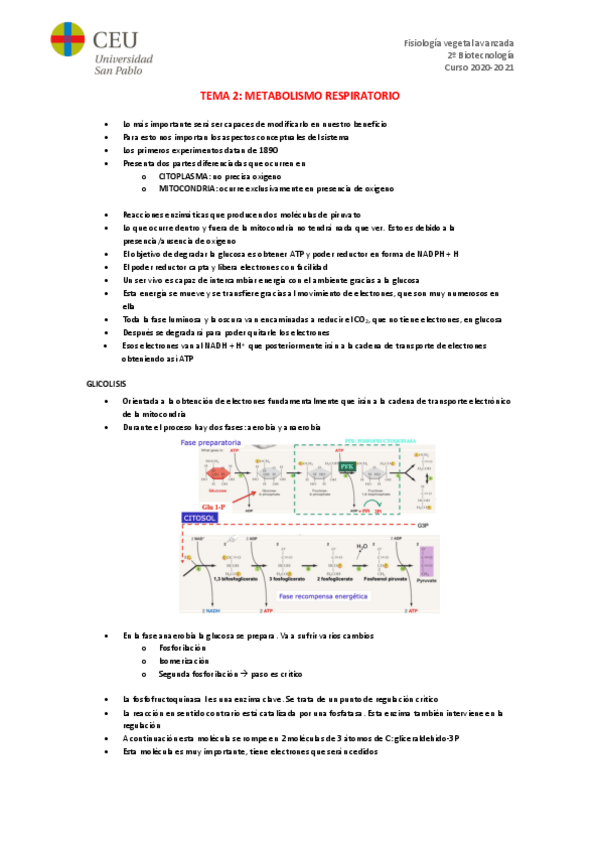 Miniatura del documento TEMA-2.pdf