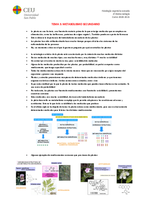 Miniatura del documento TEMA-3.pdf