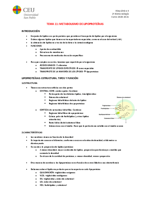 Miniatura del documento TEMA-11.pdf