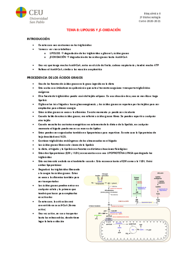 Miniatura del documento TEMA-8.pdf