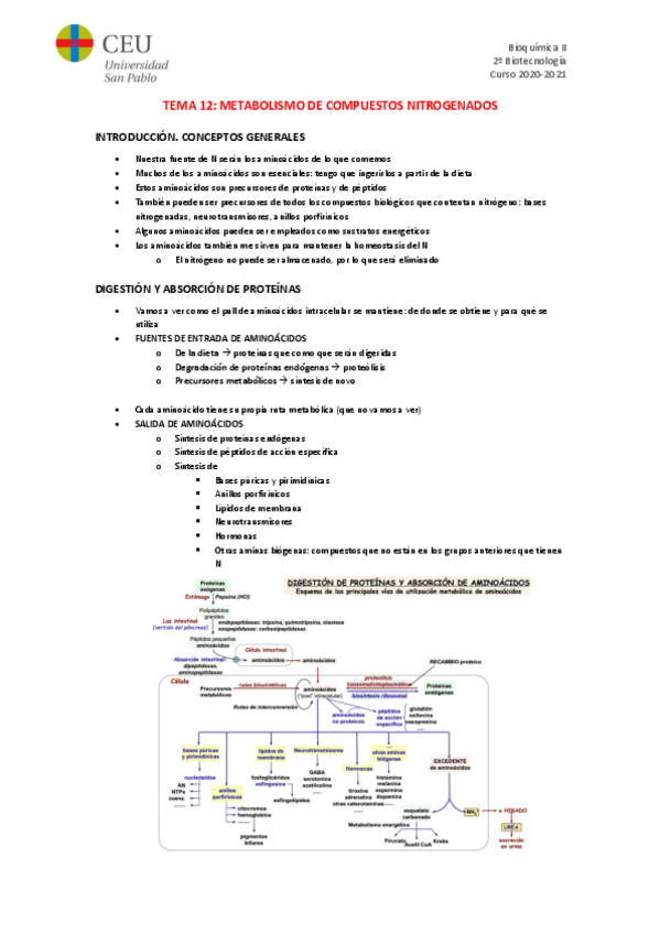 Miniatura del documento TEMA-12.pdf