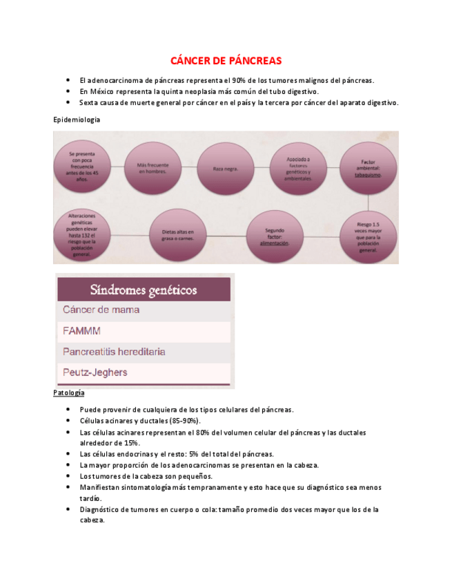 Miniatura del documento CANCER-DE-PANCREAS.pdf