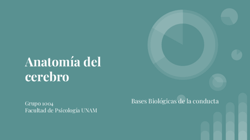 Miniatura del documento Anatomia-del-cerebro-imagenes.pdf