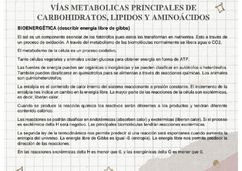 Miniatura del documento VIAS-METABOLICAS.pdf