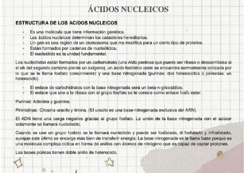 Miniatura del documento ACIDOS-NUCLEICOS.pdf