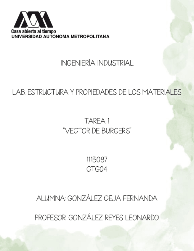 Miniatura del documento T1-VECTOR-BURGERS-GONZALEZ-CEJA-FERNANDA.pdf