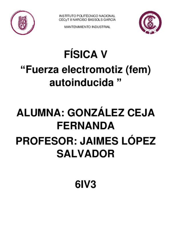 Miniatura del documento FEM-autoinducida-problemas.pdf