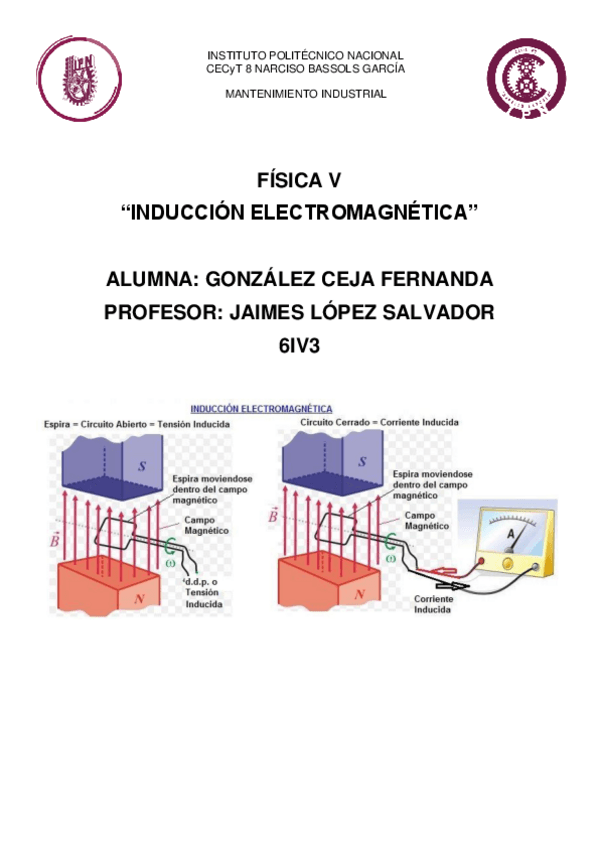Miniatura del documento Induccion-electromagnetica.pdf