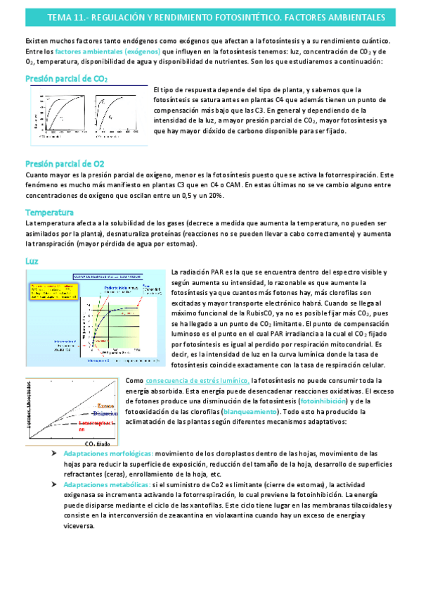 Miniatura del documento factores-ambientales-regulan-fotosintesistema-11.pdf