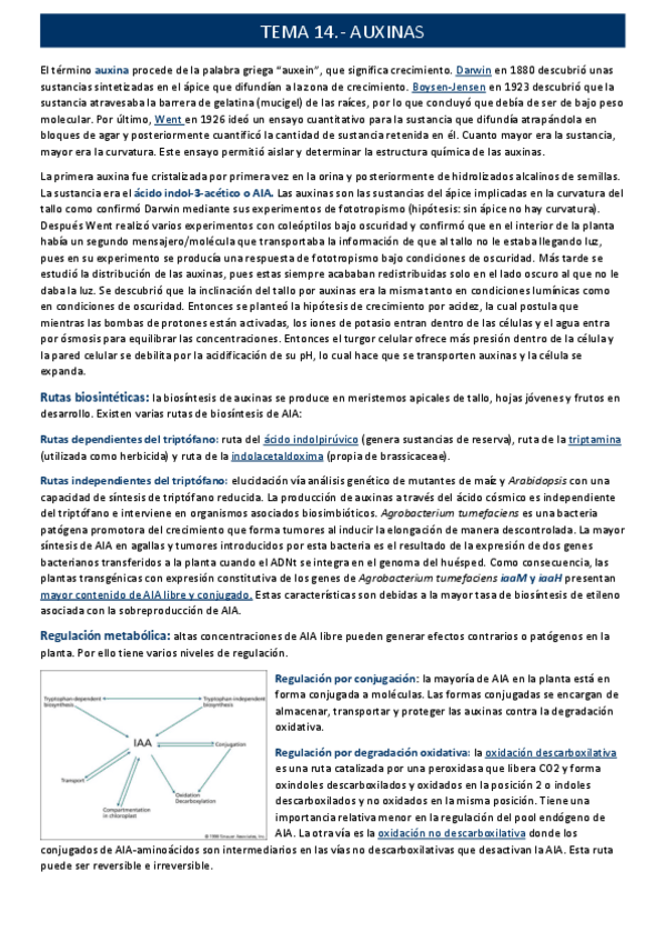 Miniatura del documento auxinastema-14.pdf