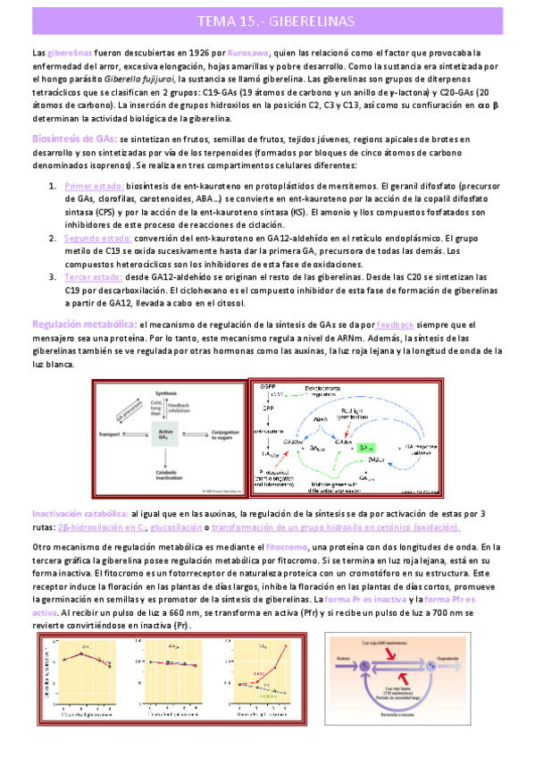 Miniatura del documento giberelinastema-15.pdf