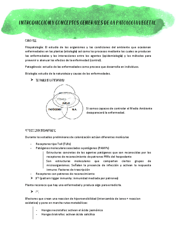 Miniatura del documento Introduccion-a-la-proteccion-vegetal.pdf