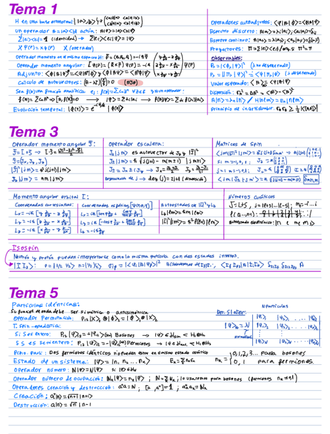Miniatura del documento Formulario-tocho.pdf