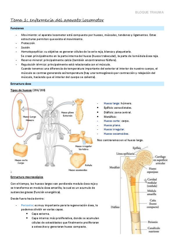 Miniatura del documento Clinica-21-22.pdf