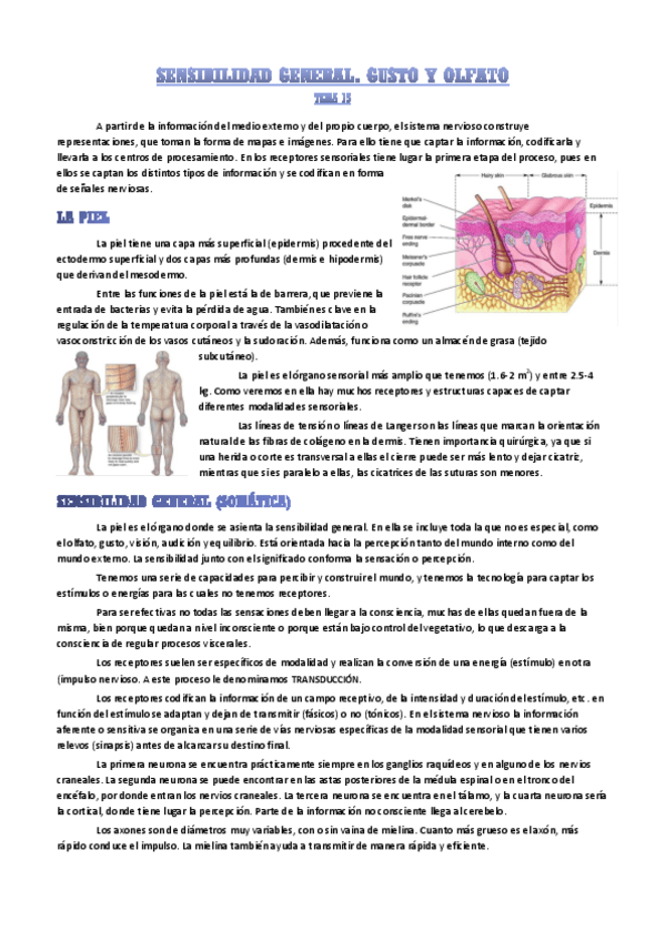 Miniatura del documento sensibilidad-general.pdf