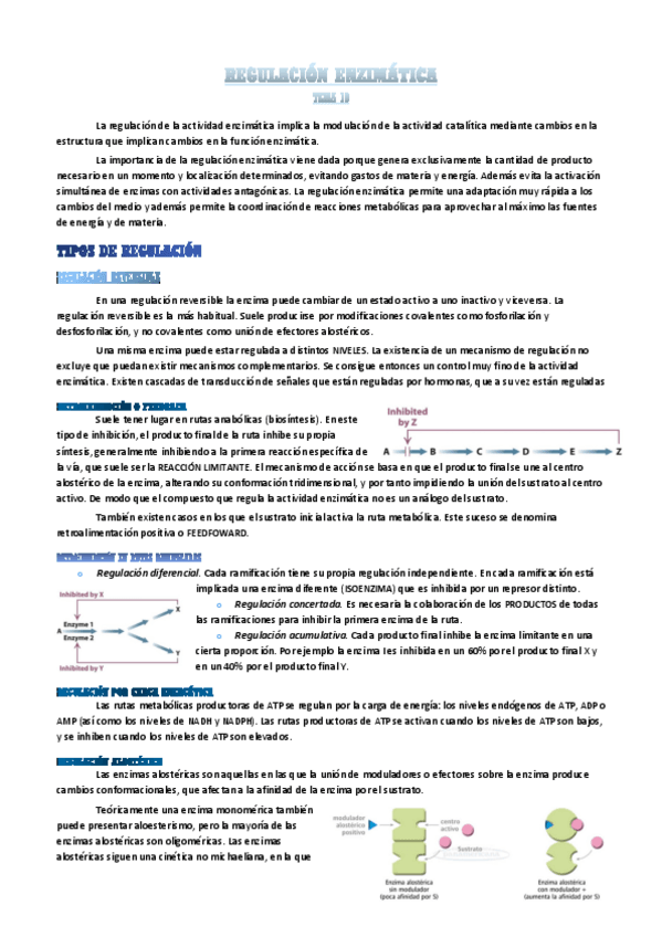 Miniatura del documento regulacion-enzimatica.pdf