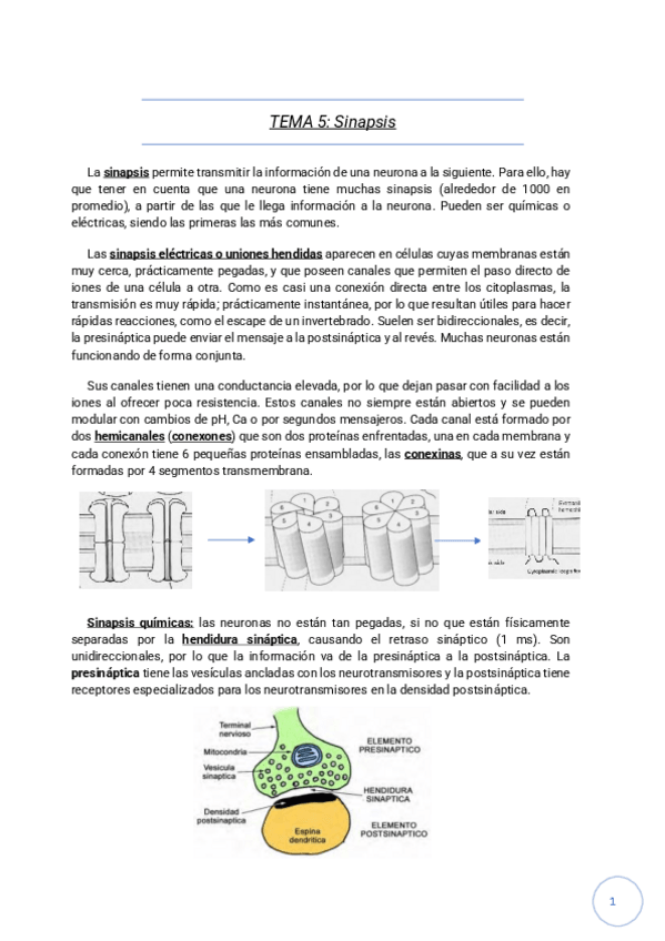 Miniatura del documento Temas-5-6-7.pdf