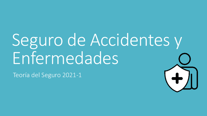 Miniatura del documento Seguro-de-Accidentes-y-Enfermedades.pdf