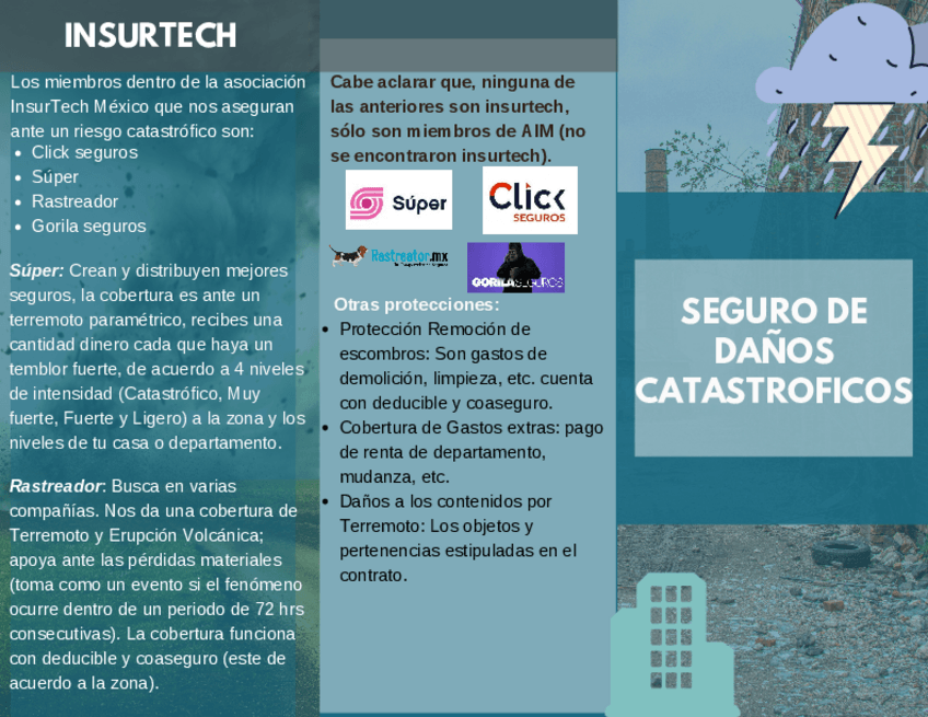 Miniatura del documento Seguro-de-Danos-Catastroficos.pdf