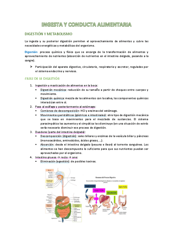 Miniatura del documento apuntes-t6-fisio.pdf