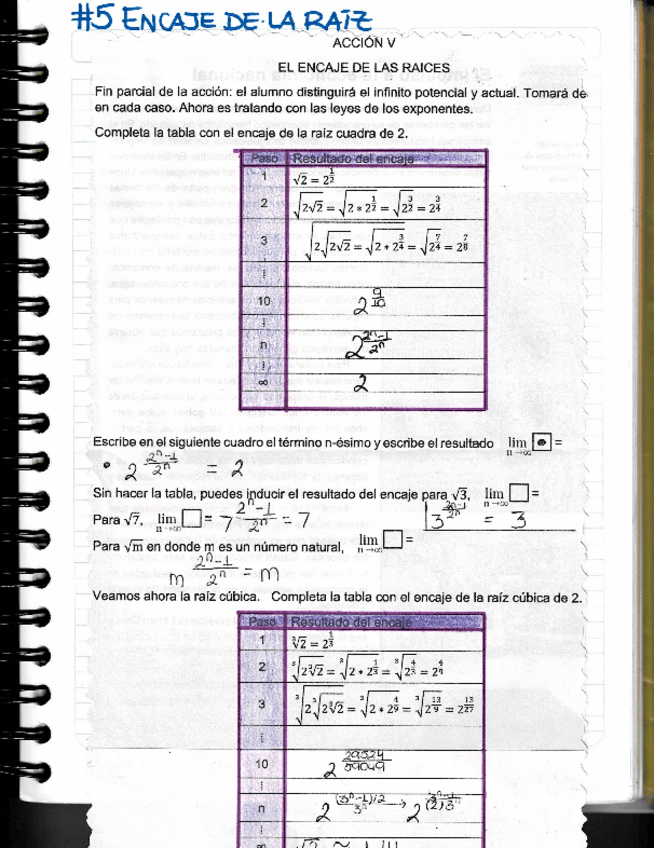 Miniatura del documento Encaje-de-la-raiz.pdf