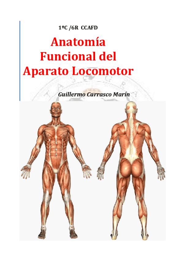 Miniatura del documento TrabajoAnatomia.pdf