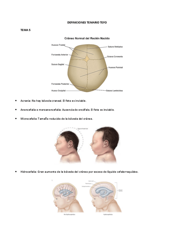 Miniatura del documento DEFINICIONES-TEMARIO-TEFO.pdf