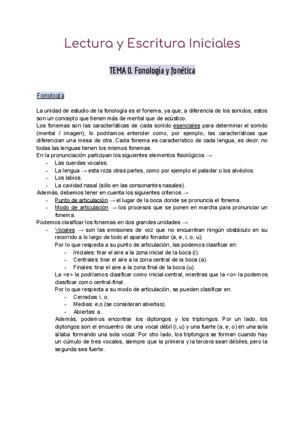 Miniatura del documento Apuntes-Esther-Lectura-y-Escritura-Iniciales-Castellano-1.pdf