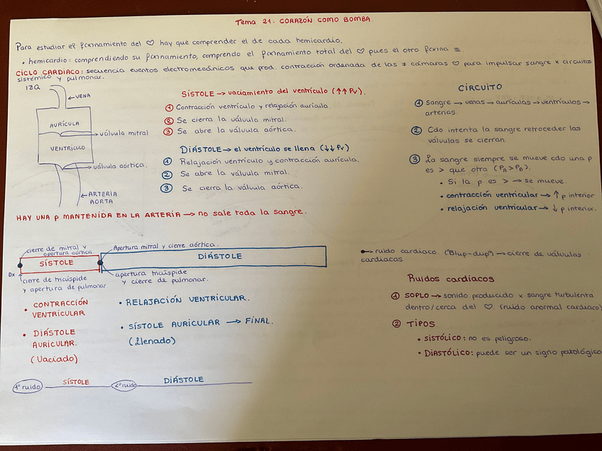 Miniatura del documento image.jpg