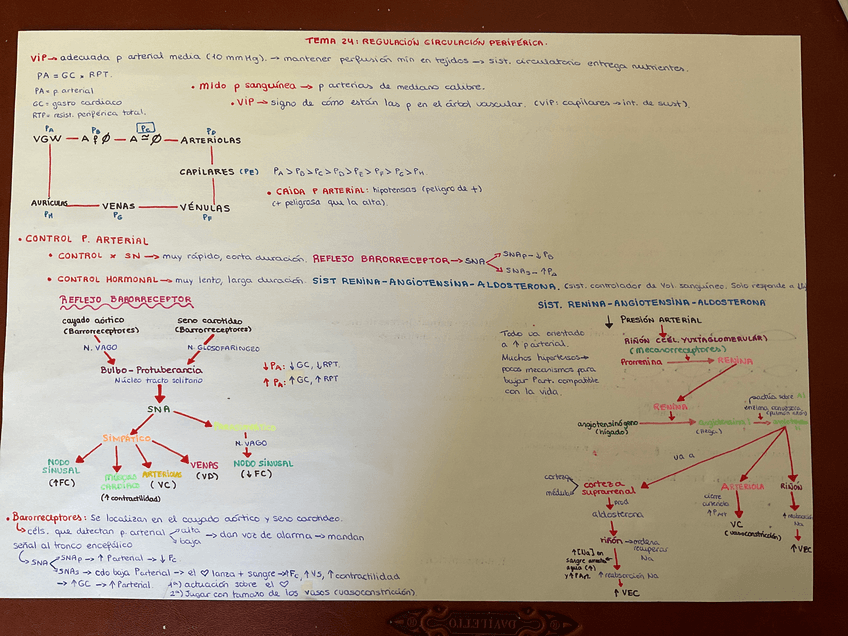 Miniatura del documento image.jpg