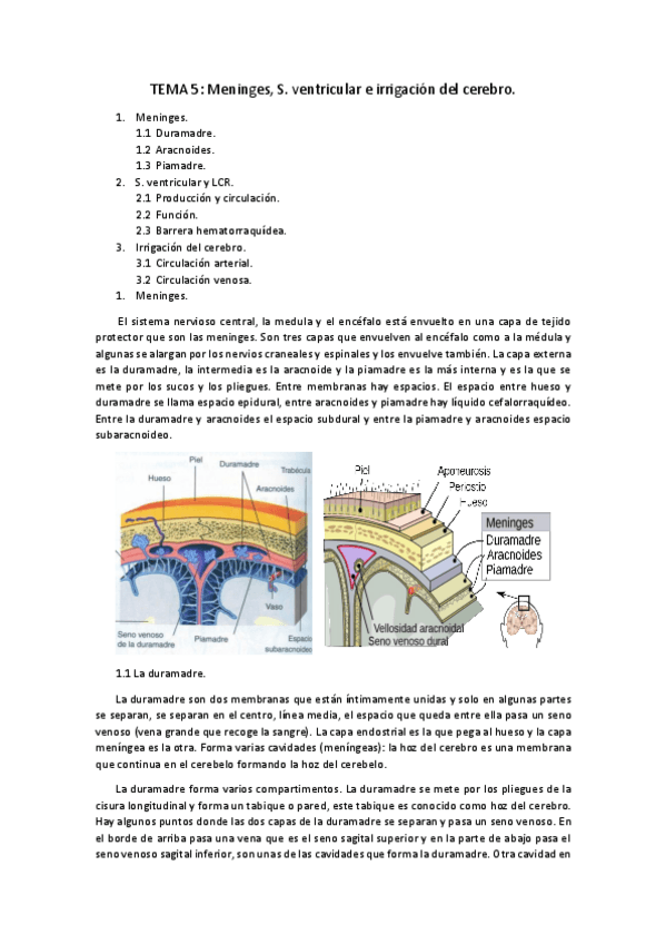 Miniatura del documento TEMA-5.pdf