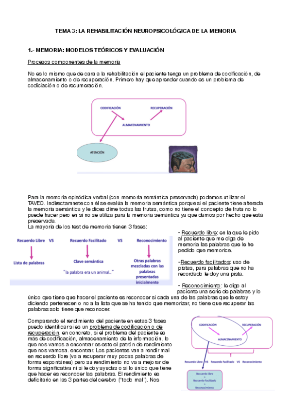 Miniatura del documento Tema-3-neuro.pdf