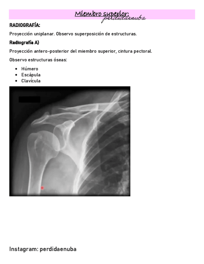 Miniatura del documento CINTURA-PECTORAL-1.pdf