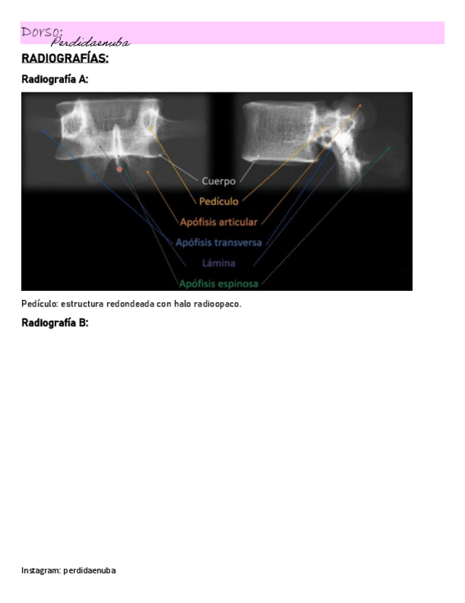Miniatura del documento Dorso.pdf