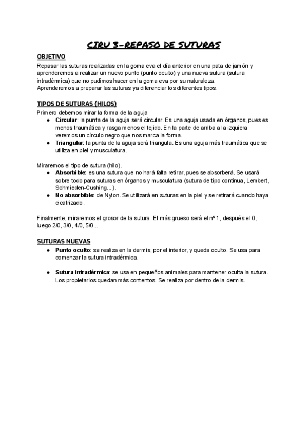 Miniatura del documento CIRU-3.pdf