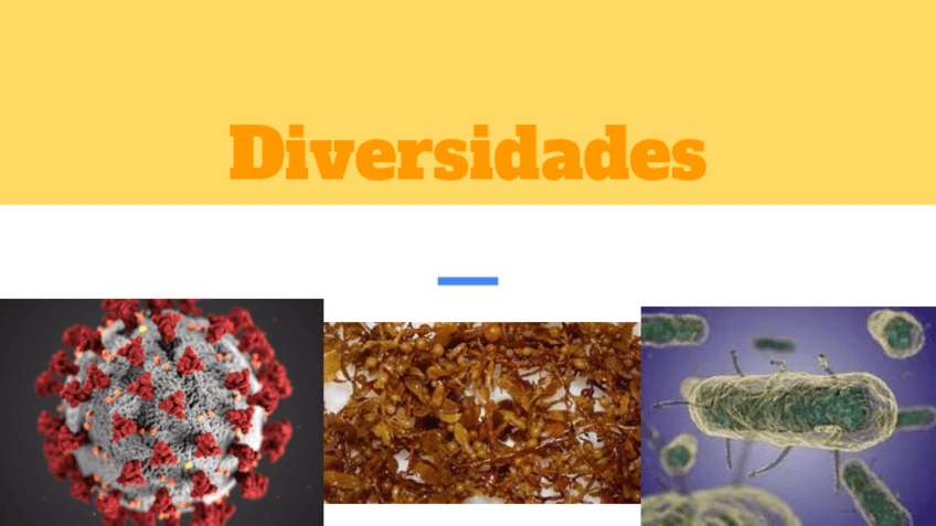 Miniatura del documento Virusprotistasalgas.pdf