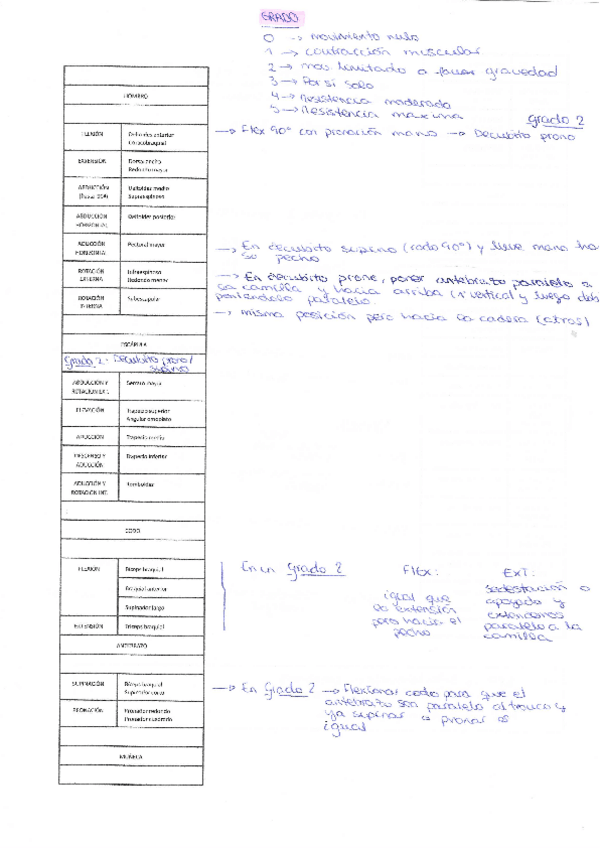 Miniatura del documento valoracionMuscular.pdf