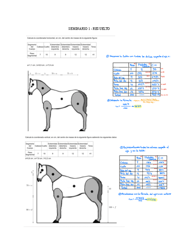 Miniatura del documento Seminario-1-FISICA-Resuelto.pdf