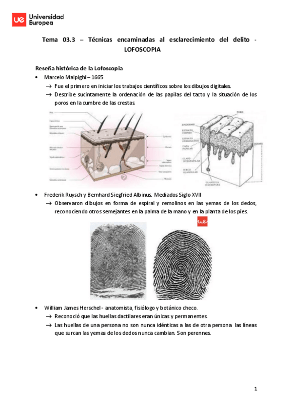 Miniatura del documento Tema-3.pdf