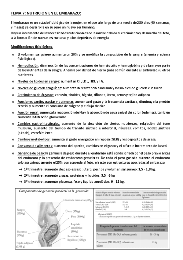 Miniatura del documento 2o-PARCIAL-NUTRICION.pdf